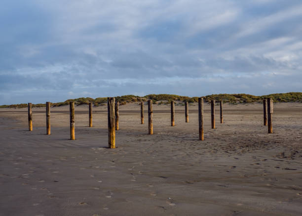Cтоковое фото Деревянные столбы на пляже Schiermonnikoog, Нидерланды