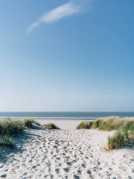 istock Vertical shot of white sandy beach with seascape under blue sky 1451453882