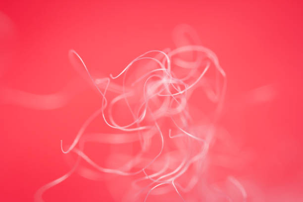 istock Extreme macro of polyester stable fiber on red background 1451458461