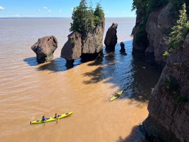 istock Kayaking at Hopewell Rocks during high tide 1451462351