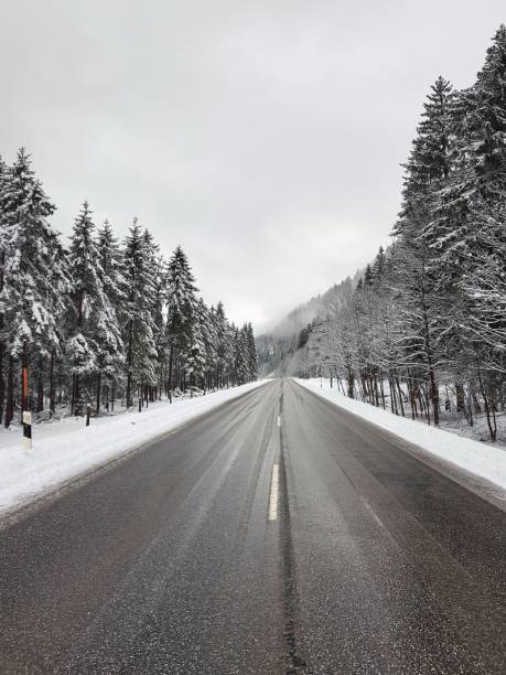 istock Vertical shot of an empty highway between spruces covered in snow 1451462746