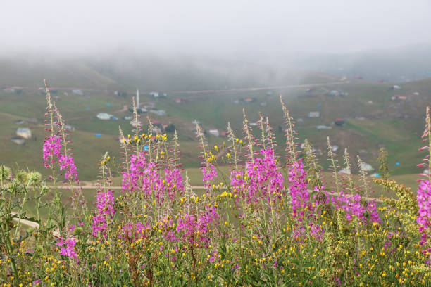 A view of Kadirga Upland in Trabzon, Turkey.