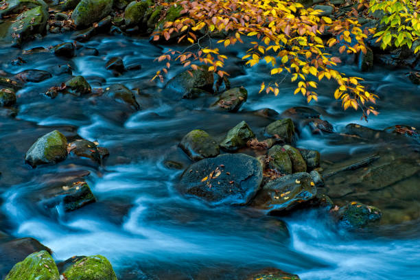 A time exposure of a stream in the Great Smoky Mountains National Park.  The photo was created well after sundown, and the rich blue of the water resulted from the reflection of the dark blue sky above.