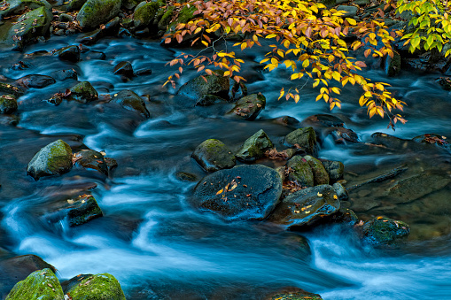 istock Smoky Mountain Stream In Early Autumn 1451467015