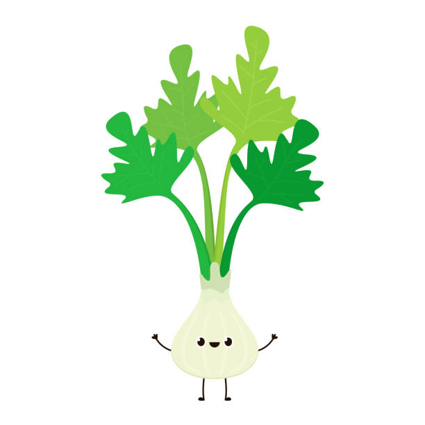 ilustrações de stock, clip art, desenhos animados e ícones de coriander character design. coriander cartoon vector on white background. - cilantro parsley spice white background