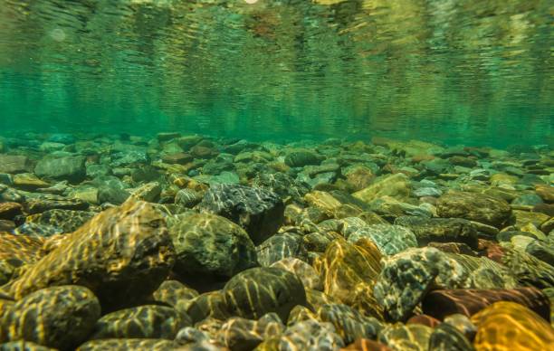 istock A Closeup of rocks under blue water 1451474152