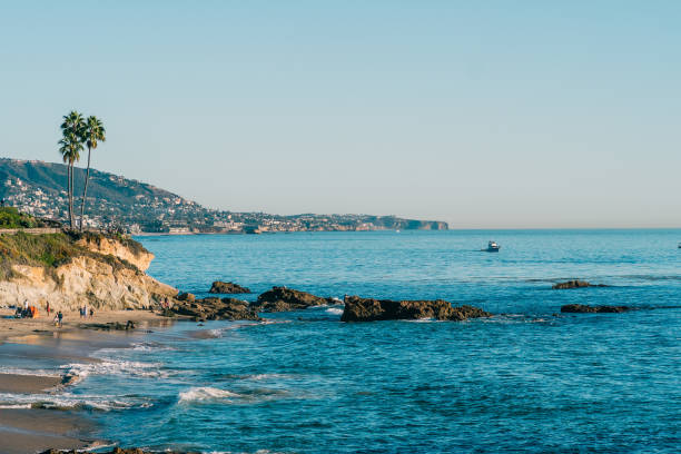 istock Beach in Southern California 1451476069