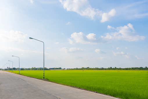 Concrete road in rural Thailand through green fields