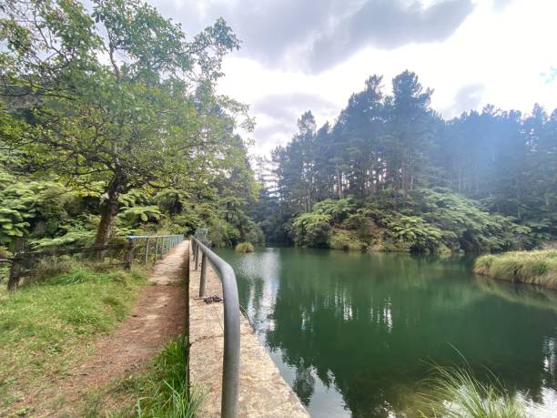 istock Water dam in nature 1451477784