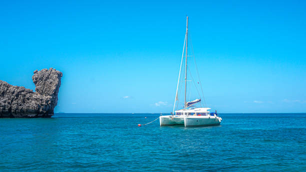 istock World-famous long-tail boat trips and adventures. 1451483978