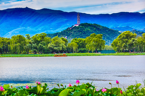 Yue Feng Pagoda Pink Lotus Garden Boat Lake Buildings Summer Palace Beijing China