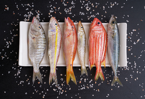 High angle view of various fresh fish and seafood on plate over black background