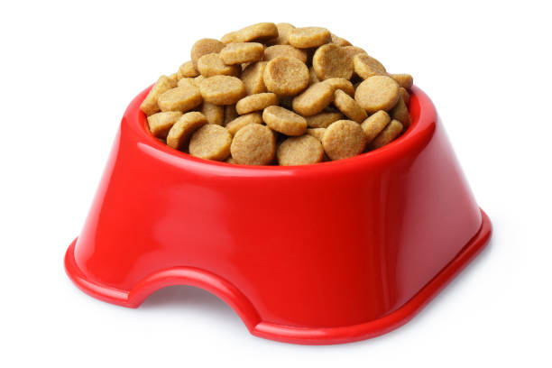 istock Dry cat food in a red plastic bowl on white 1451487380