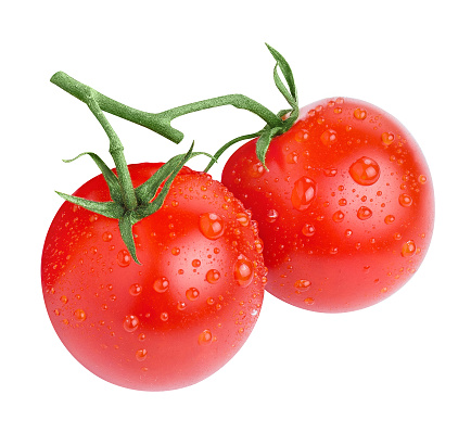 Delicious tomatoes on branch, isolated on white background