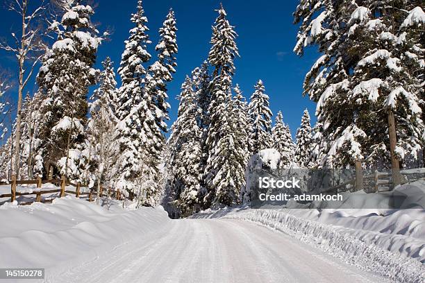 Strada Innevata - Fotografie stock e altre immagini di 2000-2009 - 2000-2009, Albero, Ambientazione esterna