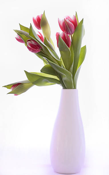 istock Tulips in a lilac vase 145150354