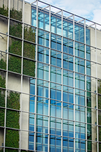 Green plants featured on the side of business buildings as an example of urban sustainability