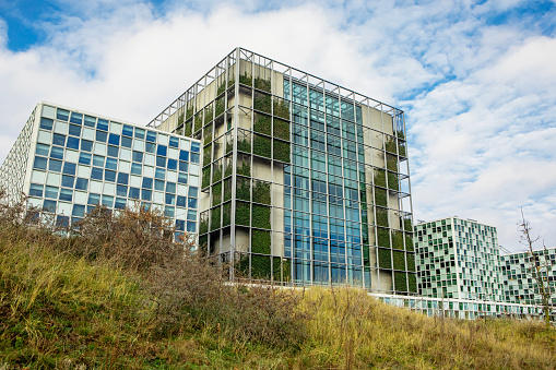 Green plants featured on the side of business buildings as an example of urban sustainability