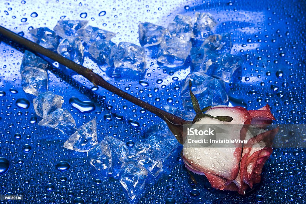 Coração de gelo com bagas sobre fundo azul - Royalty-free Amor Foto de stock