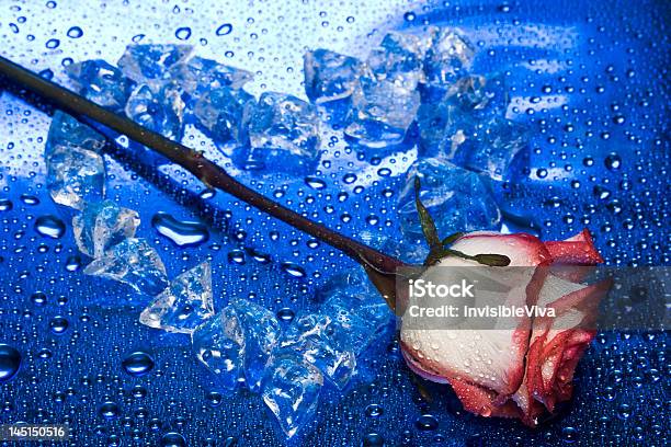 Coração De Gelo Com Bagas Sobre Fundo Azul - Fotografias de stock e mais imagens de Amor - Amor, Azul, Bolha - Estrutura Física