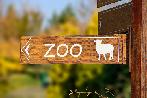 wooden sign showing the zoo