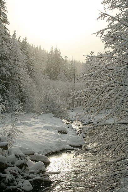 Natura delle nevi - foto stock