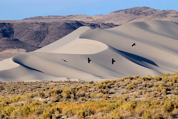 Sand Mountain - foto de acervo