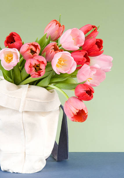 istock tulips in a tote bag 145150900