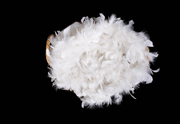 istock Basket of Feathers 145151372