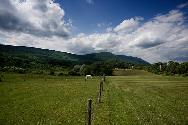 A beautiful summer day in Southern Vermont.  This is a view of Mt. Equinox in Manchester, VT from the South.  It is a wide-angle shot with a horse, fence, and steeple in the shot.