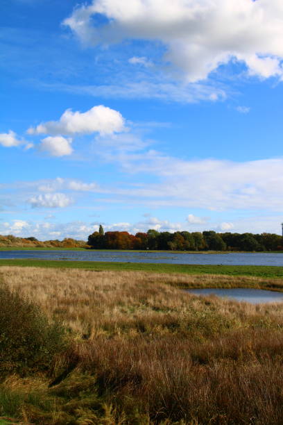 istock Overflowed wetlands and clear sky 1451521823