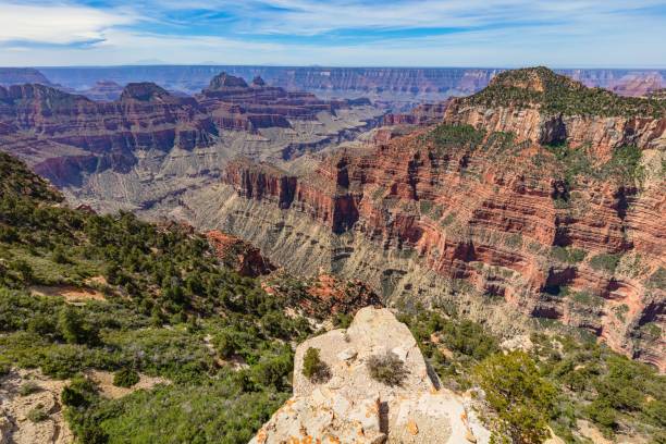 vista do grand canyon da margem norte na primavera - red mountains - fotografias e filmes do acervo