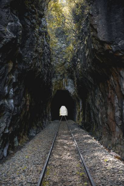 istock Track for train between mountains and tunnel with green trees 1451524007