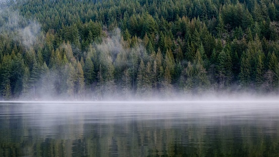A calm lake surrounded by the foggy forest with green trees during the daytime