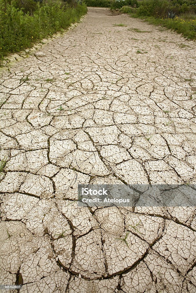 Incrinato fango sul fondo di uno stagno di asciutto - Foto stock royalty-free di Acqua