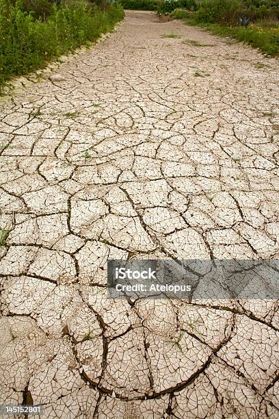 Rachado Lama No Fundo De Uma Lagoa De Seca - Fotografias de stock e mais imagens de Acidente Natural - Acidente Natural, Alterações climáticas, América do Sul