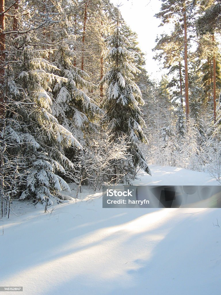 Paisaje de invierno - Foto de stock de Aire libre libre de derechos