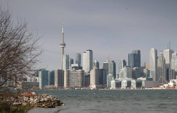 istock Toronto Cityscape Viewed from Ward's Island 1451538625