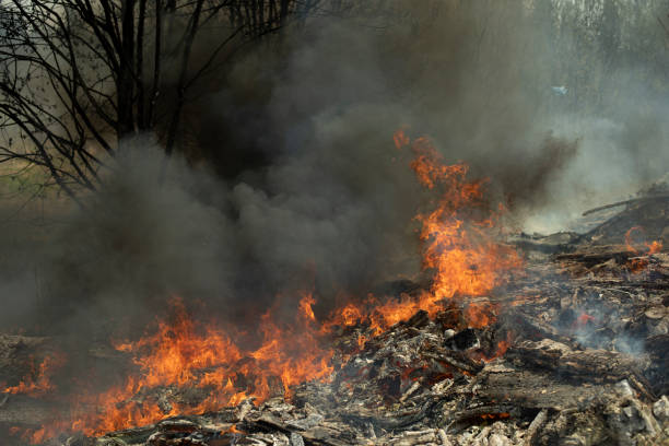 istock Fire and black smoke. Fire in landfill. Smoke in forest. Illegal landfill. 1451540056