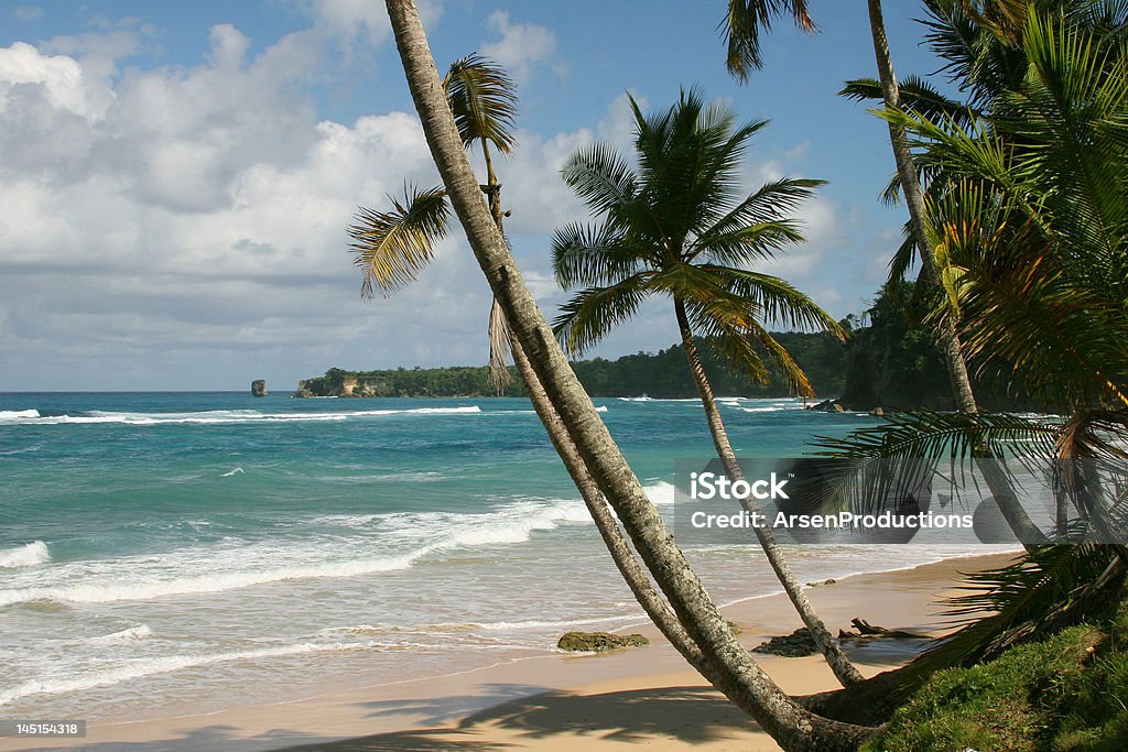 Paysage de plage des Caraïbes - Photo de Absence libre de droits