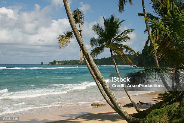 Photo libre de droit de Paysage De Plage Des Caraïbes banque d'images et plus d'images libres de droit de Absence - Absence, Amérique latine, Arbre