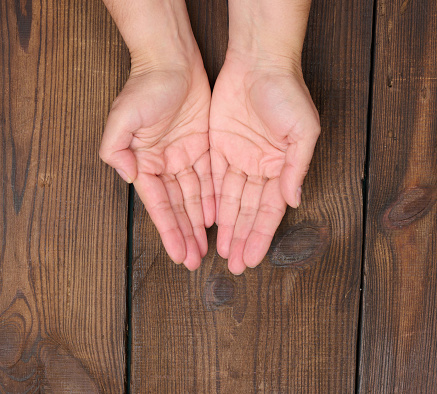 Two female hands on a brown background. Empty palms open, top view