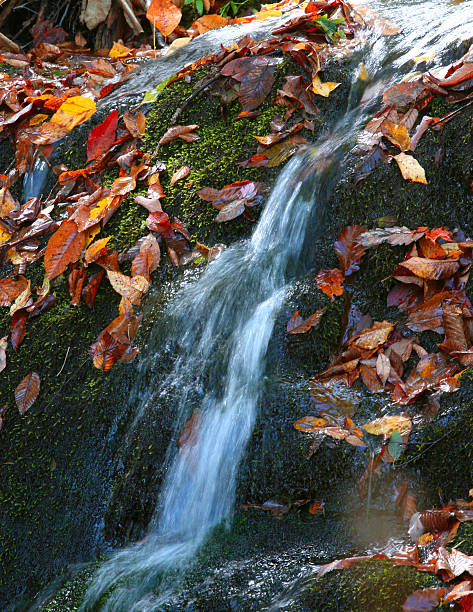 Automne chute d'eau - Photo