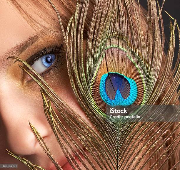 Blaues Auge Versteckt Unter Peacock Feather Stockfoto und mehr Bilder von Ellipse - Ellipse, Feder, Fotografie