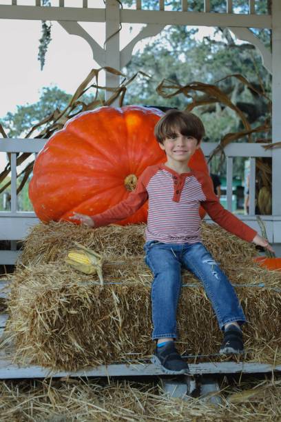 istock Caucasian boy sitting and smiling on a haystack with a pumpkin from behind in Orlando, Florida 1451557310