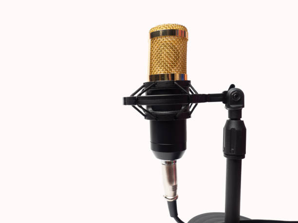 istock Picture of a black condenser microphone on a white isolated background 1451557397