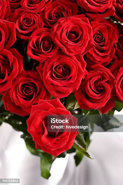 Rote Rosen Stockfoto und mehr Bilder von Bildhintergrund - Bildhintergrund, Blume, Blumenbouqet