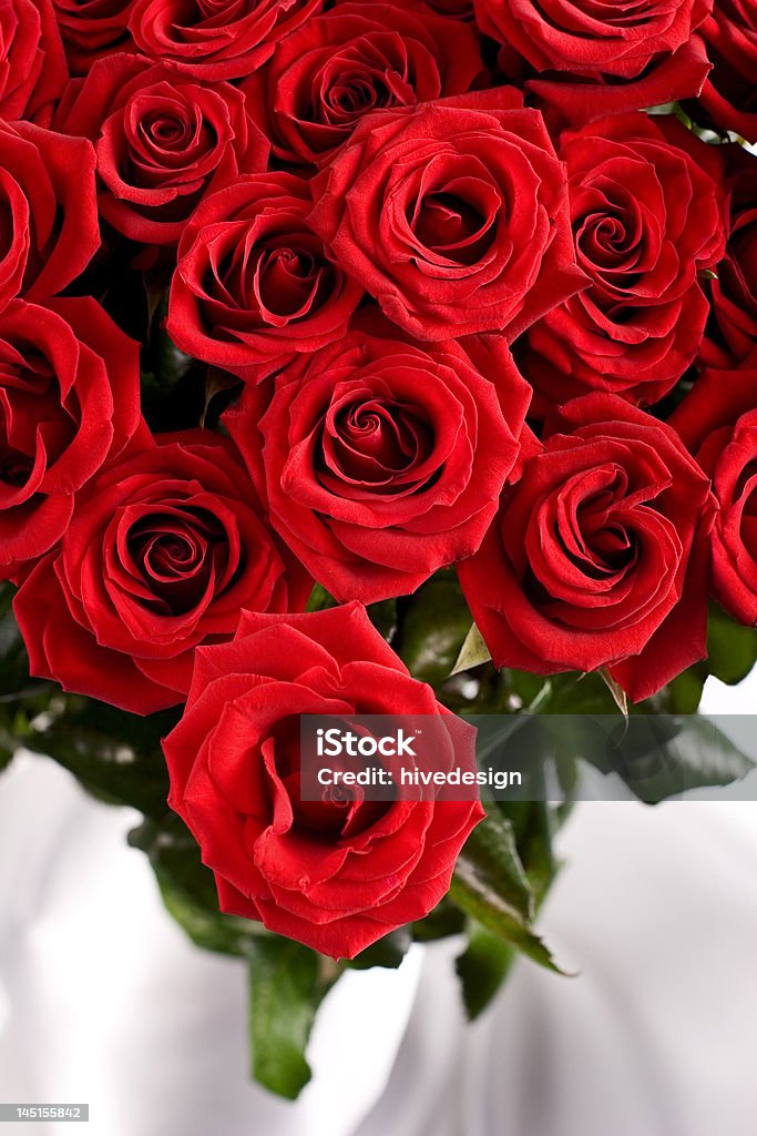 Rosas vermelhas - Foto de stock de Amor royalty-free