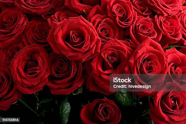 Red Roses - Fotografias de stock e mais imagens de Amor - Amor, Bouquet, Comemoração - Conceito