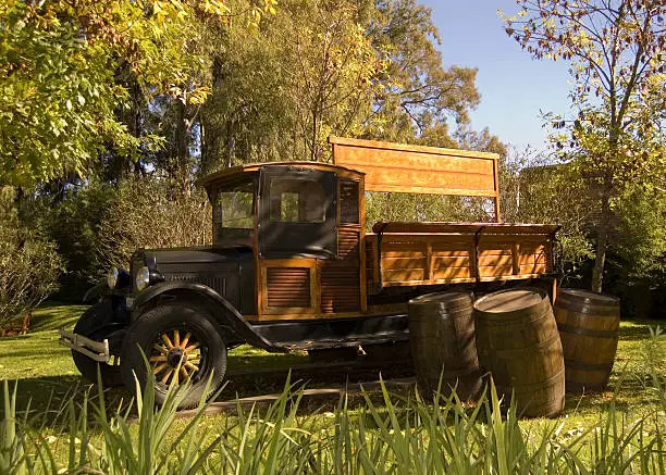 Old wooden truck in field with wine barrels. 